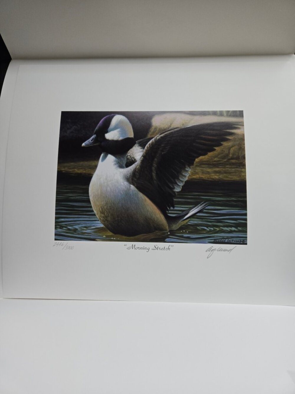 George Lockwood “Morning Stretch” Ducks Unlimited Lithograph – Signed #2446/3700